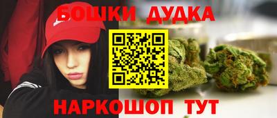 сатива Братск