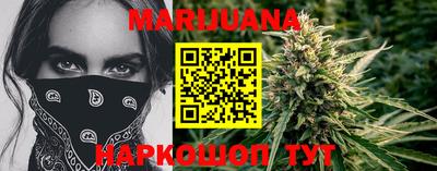 шишки Брянск