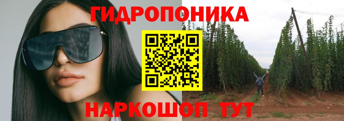 Марихуана марихуана Кизилюрт
